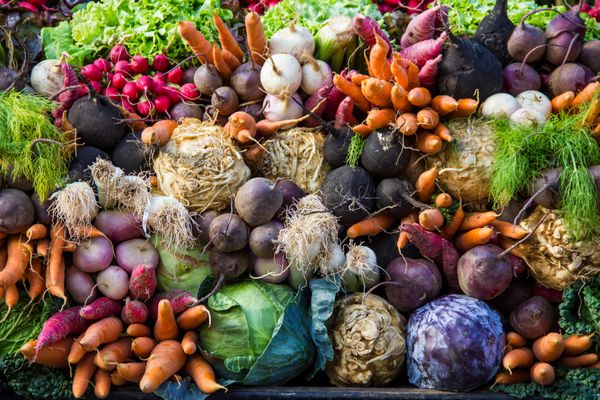 گزیده ای از سبزیجات از بازار یک کشاورز در شهر کوچک کولمار در منطقه آلزاس در فرانسه
