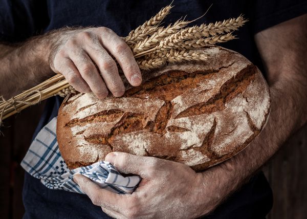 مرد نانوایی که نان و گندم ارگانیک روستایی در دست دارد - نانوایی روستایی نور طبیعی طبیعت بی جان