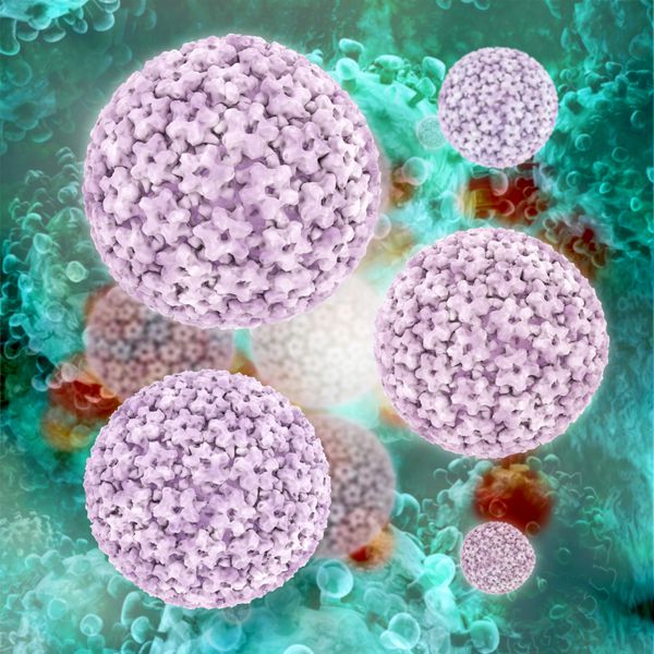 ویروس پاپیلوما - تصویر سه بعدی ارائه شده