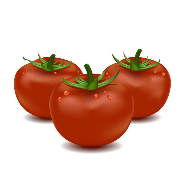 وکتور گوجه فرنگی تازه قرمز برای تهیه غذا به رنگ سفید جدا شده