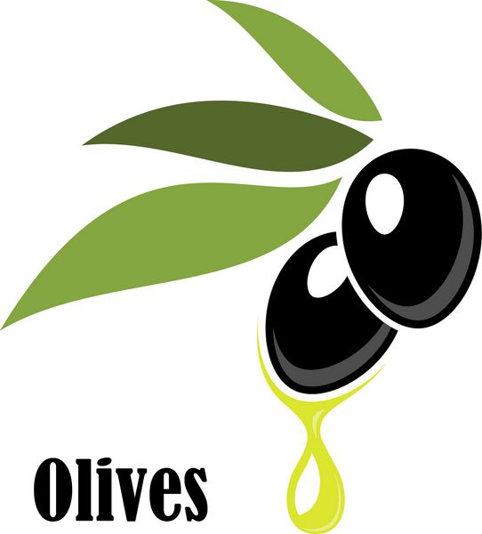 زیتون سیاه رسیده روی شاخه‌ای برگ‌دار با آرم روغن زیتون چکاننده و کلمه - Olives - در زیر جدا شده روی سفید