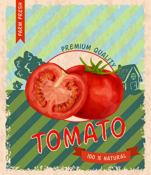 وکتور پوستر تبلیغاتی گوجه فرنگی با کیفیت برتر رترو