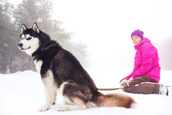 عکس پروفایل دختر با سگ هاسکی