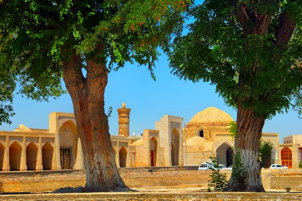 منظره زیبای روز آفتابی از مجموعه باستانی پوی کالیان - مسجد مدرسه و کالون کوچک مناره بزرگ با دو درخت قدیمی در پیش زمینه در مرکز تاریخی بخارا ازبکستان آسیای مرکزی