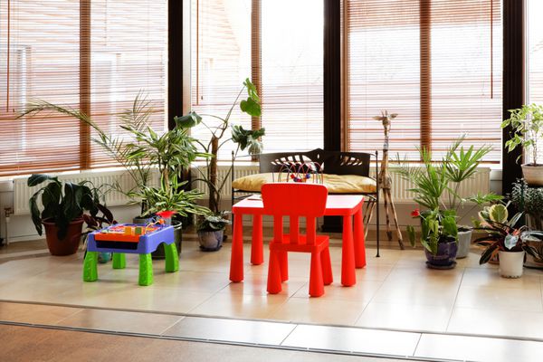 باغ زمستانی با اسباب بازی ها و گیاهان در خانه مدرن