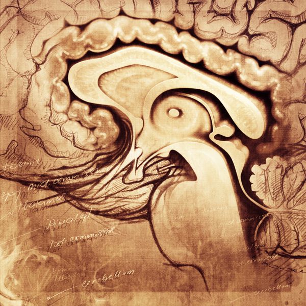 سبک هنری تلطیف شده مغز انسان - نقاشی