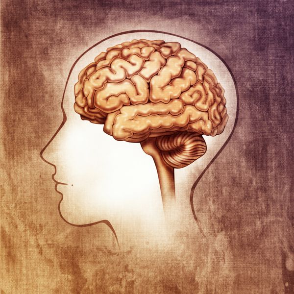 شماتیک پزشکی مغز انسان تصویر ساده شده نقاشی