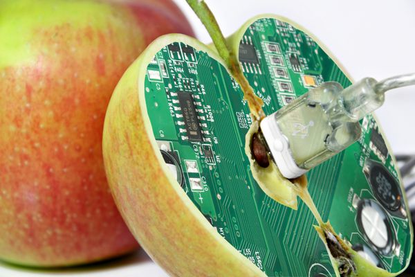 اپل با هسته فناوری - مفهوم طنز آمیز برای غذای GMO