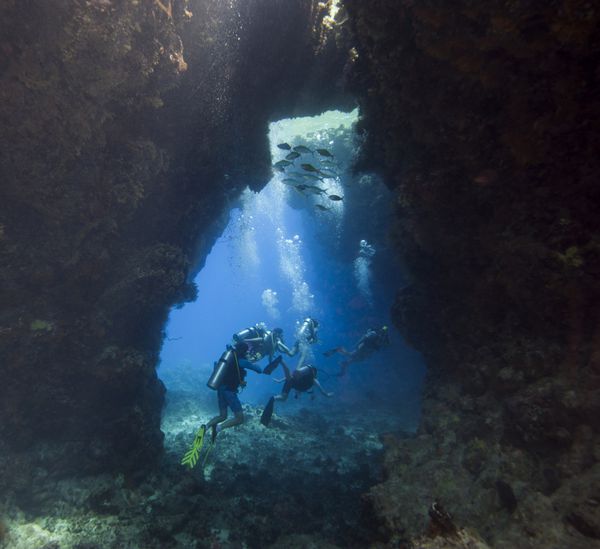 غواصان غواصی در حال کاوش در غار دریایی زیر آب در صخره مرجانی استوایی