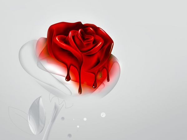 گل رز قرمز با رنگ قطره ای