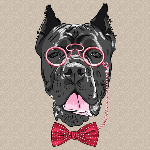وکتور سگ هیپستر نژاد Cane Corso در عینک و پاپیون