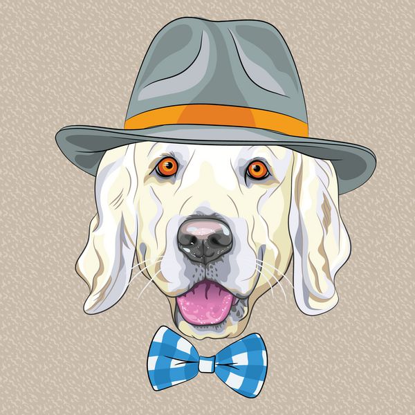 وکتور سگ هیپستر نژاد گلدن رتریور با کلاه خاکستری و پاپیون تارتان