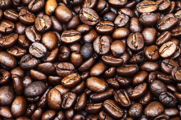 دانه های قهوه قهوه ای برشته شده نزدیک