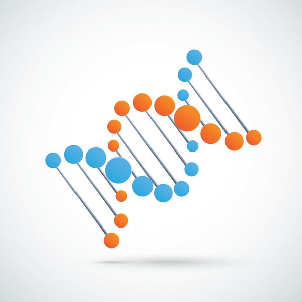 اینفوگرافیک با DNA در پس زمینه خاکستری فایل وکتور