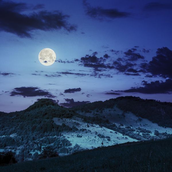 دره های نزدیک جنگل در دامنه های کوه در شب در نور ماه کامل