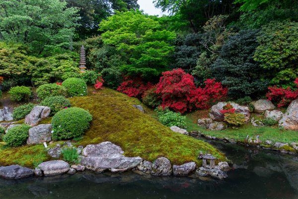 باغ مخفی ژاپنی
