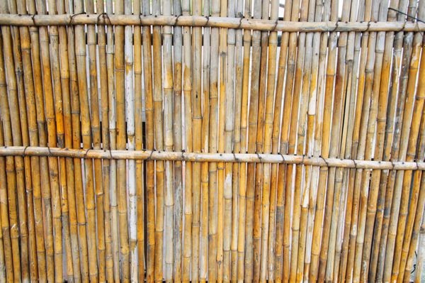 پس زمینه حصار بامبو