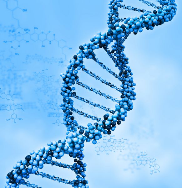 تصویر دیجیتالی DNA