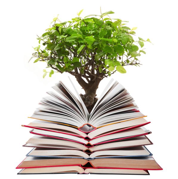 libri aperti con albero