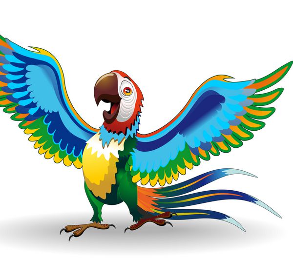 کارتون پاپاگالو آرا-طوطی ماکائو خنده دار-وکتور