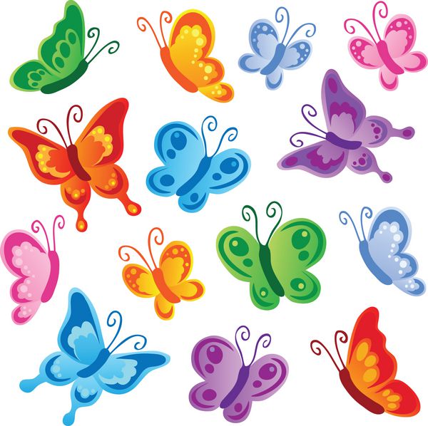 مجموعه پروانه های مختلف 1