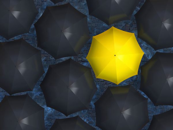 چتر زرد