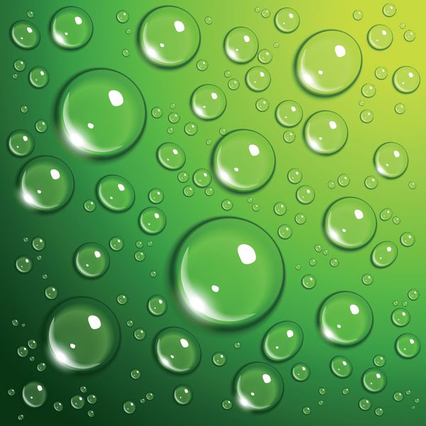 قطرات آب روی سبزه