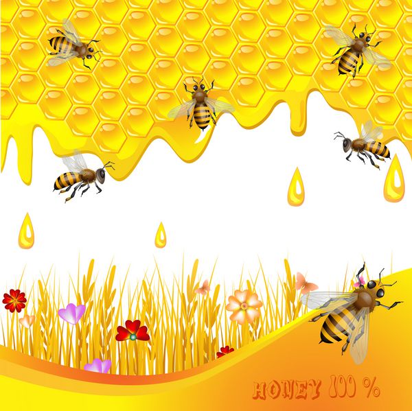 پس زمینه گل با عسل و زنبور عسل