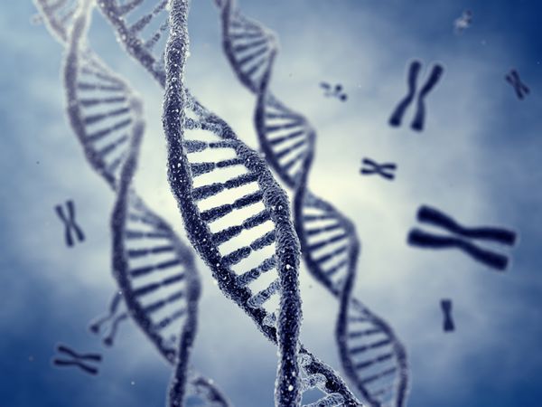 مولکول ها و کروموزوم های مارپیچ دوگانه DNA
