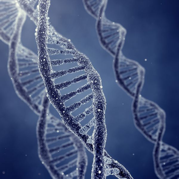 مولکول ها و کروموزوم های مارپیچ دوگانه DNA