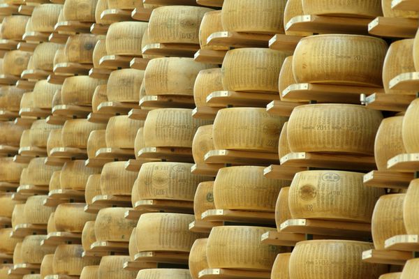 محصول پنیر ایتالیایی معمولی