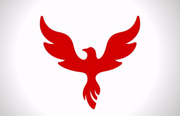 چکیده لوگوی پرنده پرنده نماد سبک لوکس ققنوس