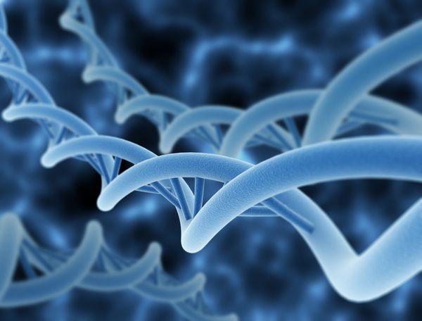 تصویر دیجیتالی یک DNA