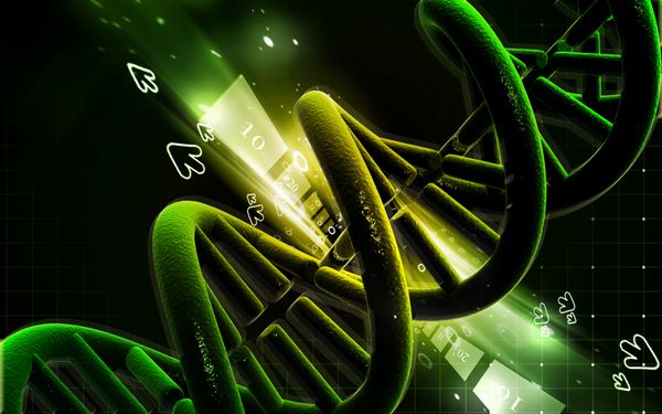 DNA