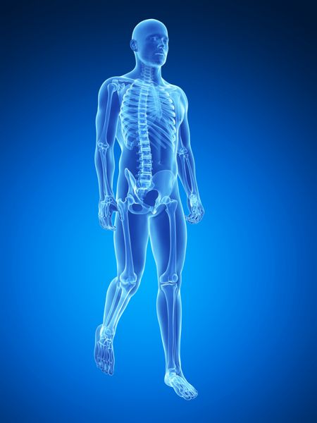 تصویر پزشکی سه بعدی - مرد راه رفتن