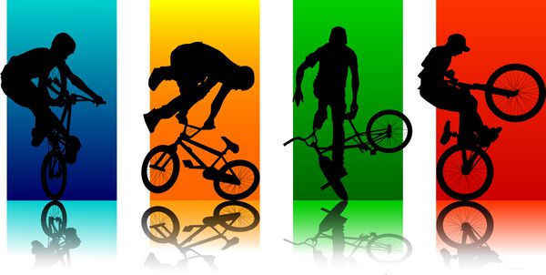 تنظیم ارقام BMX