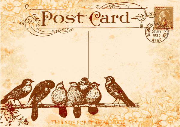 کارت پستال oiseaux