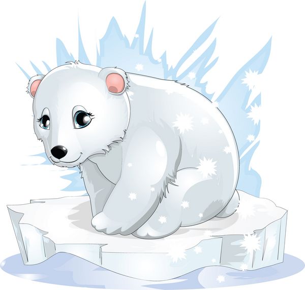 خرس سفید
