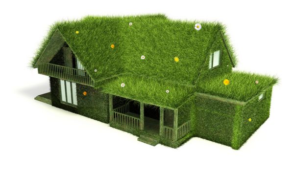 maison verte ecologie اکولوژی خانه