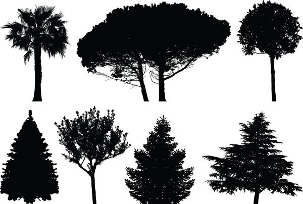 درختان - مجموعه وکتور