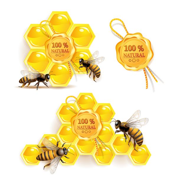 زنبورهای لانه زنبوری و مهر با کیفیت
