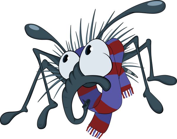 عنکبوت کوچولو و روسری