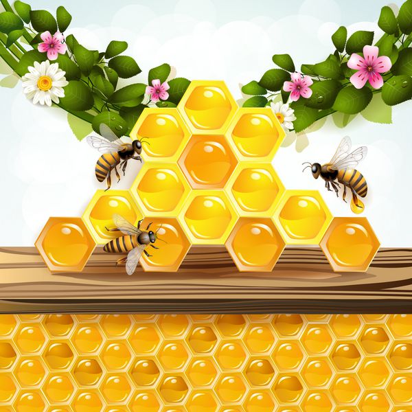 زنبور عسل و لانه زنبوری با زمینه گل