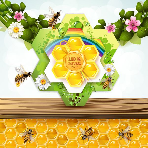 زنبور عسل و لانه زنبوری با قاب گل