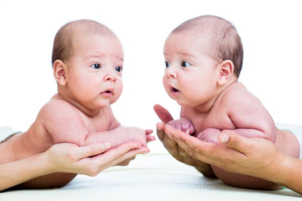 دوقلوهای نوزاد کوچک روی دستان والدین جدا شده روی پس زمینه سفید