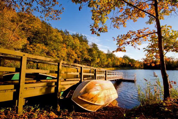 قایق روی دریاچه در برابر چشم انداز پاییز طلایی