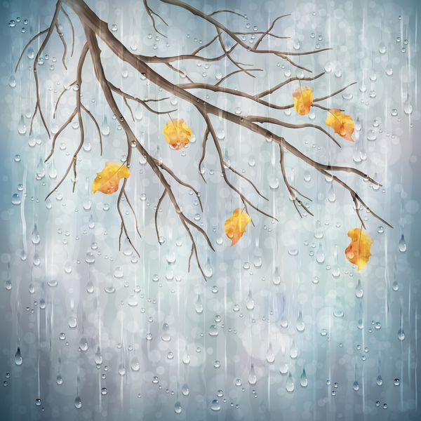 وکتور هوای بارانی پاییزی طرح طبیعی هنری