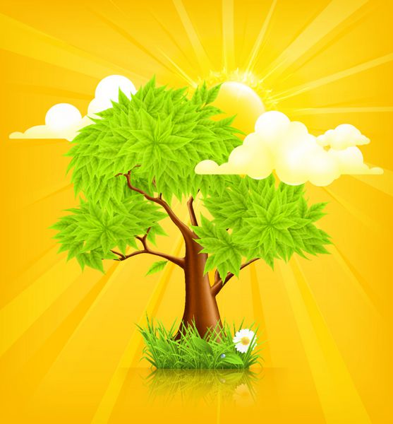 خورشید و درخت