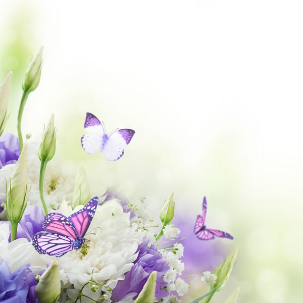 دسته گل عروس از گل های سفید و صورتی پروانه ای