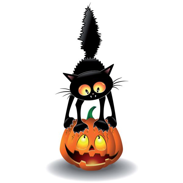 کارتونی گربه ترسیده هالووین در حال خاراندن کدو تنبل